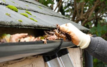 gutter cleaning Waterford