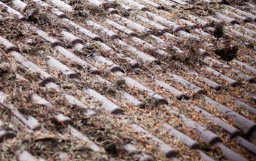 Waterford roof cleaning companies